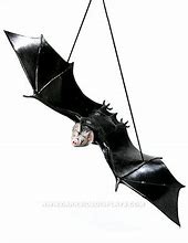Image result for Hanging Rubber Bats