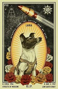 Image result for Laika Dog Space Suit