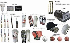 Image result for Things for Cricket