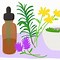 Image result for Aromatherapy PNG