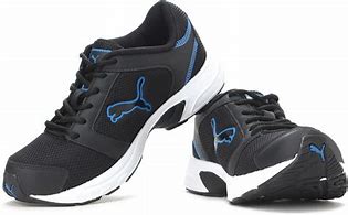 Image result for Puma Sportswear for Men