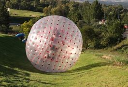 Image result for co_to_znaczy_zorbing