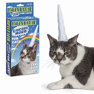 Image result for Cat Unicorn Horn