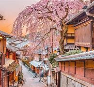 Image result for Cool Things in Japan