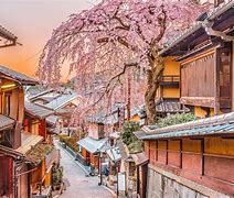 Image result for Cool Things About Japan