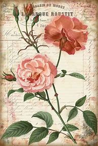 Image result for Vintage Shabby Chic Printables