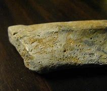 Image result for Petrified Human Bones