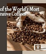 Image result for Most Expensive Coffee in Singapore