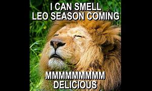 Image result for Laughing Leo Meme