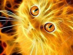 Image result for Space Cat Stock-Photo