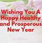 Image result for Healthy Happy New Year Wishes