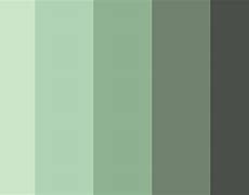 Image result for Green and Grey Color