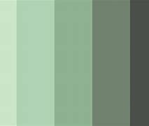 Image result for Green Grey Color Palette