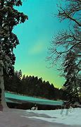 Image result for Rustic Trunk Cold Lake