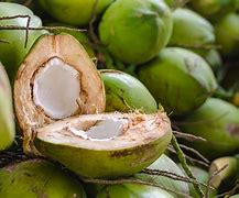 Image result for Raw Coconut