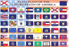 Image result for State Flags USA Pictures