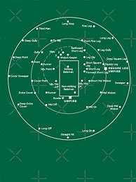 Image result for Cricket Pitch Diagram