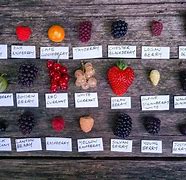 Image result for 5 Types of Berries