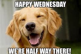 Image result for Meme Happy Wednesday Quote