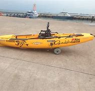 Image result for Hobie PA-12