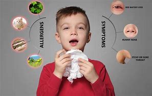 Image result for Kids Allergies