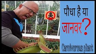 Image result for Plant Eat Human