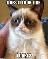 Image result for Grumpy Cat Memes Imgflip