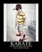 Image result for Funny Karate Guy