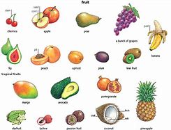 Image result for Coconut Size