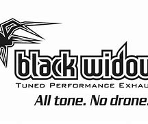 Image result for Black Widow Exhaust Logo