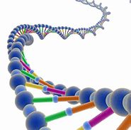 Image result for Genome PNG