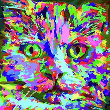 Image result for Rainbow Pop Art Cat