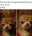 Image result for OH Really Animal Memes