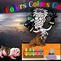 Image result for 5S Color Guide