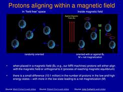 Image result for Proton Magnetic Field