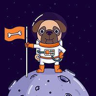 Image result for Galaxy Puppy