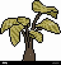 Image result for Palm Tree Graphic Pixel