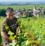 Image result for Nicolas Rossignol Bourgogne Cuvee L'Heritiere