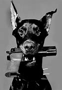 Image result for Gangster Dog with Gun