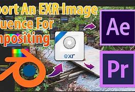 Image result for View EXR Image