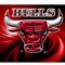 Image result for Chicago Bulls Flag