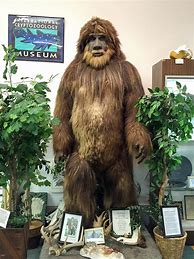 Image result for Cryptozoology