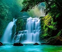 Image result for Most Beautiful Tropical Waterfalls