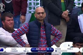 Image result for Cricket Fan Meme