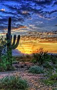 Image result for Beautiful Arizona Desert Pictures