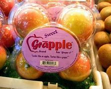 Image result for Grapple Apple