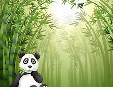 Image result for Bamboo Panda Wallpaper