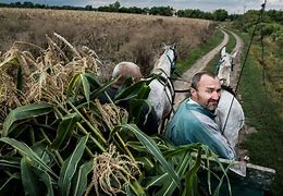 Image result for Hungary Farms