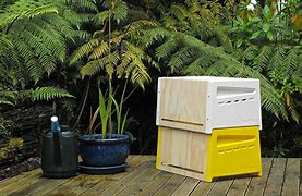 Image result for Urban Beehive