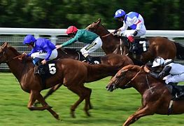 Image result for World Horse Racing in Dubai